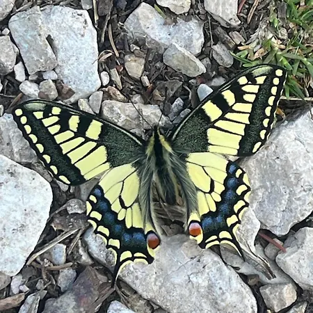 Valentina Σπίτι διακοπών *