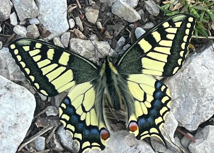 Valentina Сasa de vacaciones *